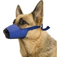 Quick Muzzle for dogs