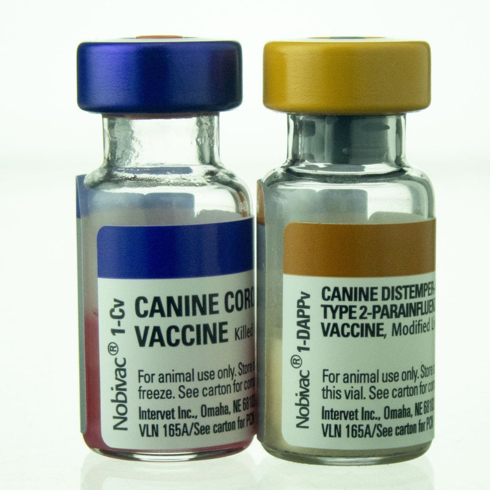 Nobivac Canine 1-DAPPv + 1-Cv