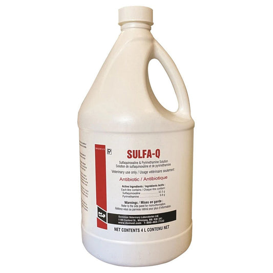 Sulfa-Q sulfaquinolaxine