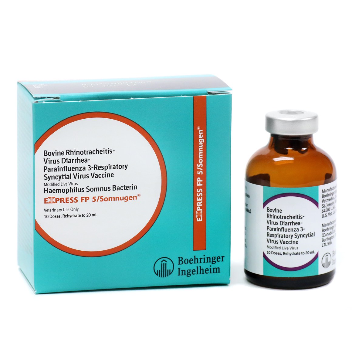 Express FP 5/Somnugen