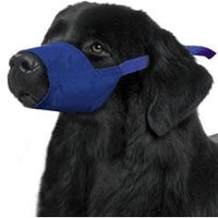Quick Muzzle for dogs