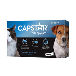 Capstar for cat and dog