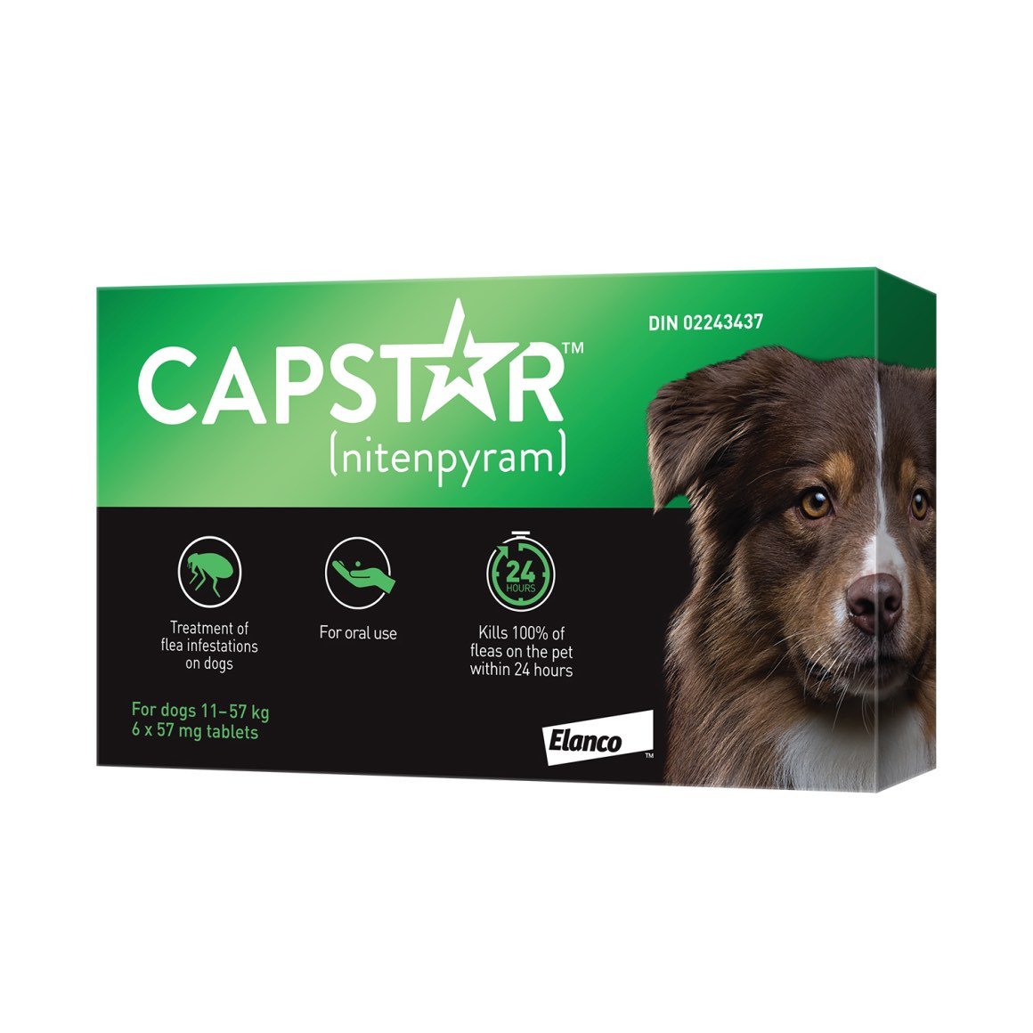 Capstar for dog