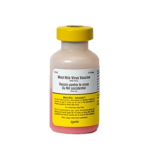 West Nile Innovator