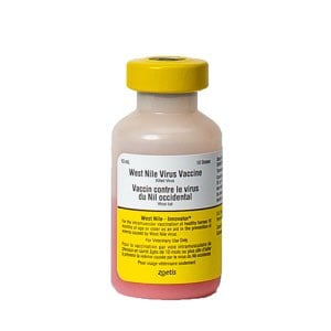 West Nile Innovator