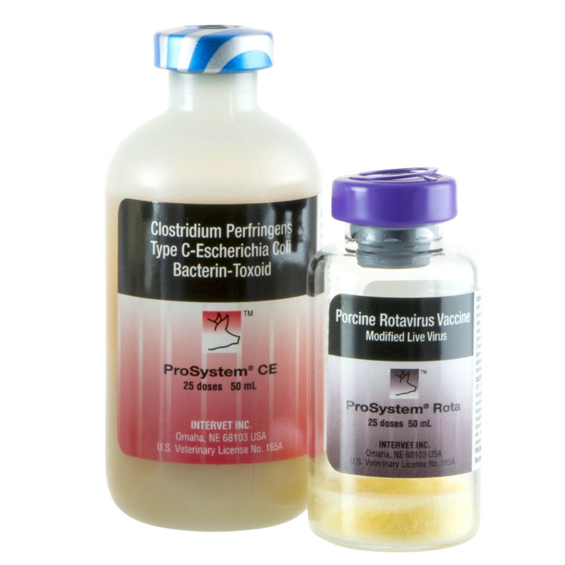 ProSystem R+CE