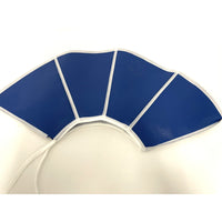 Elizabethan collar