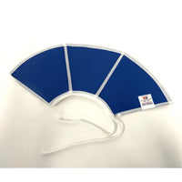 Elizabethan collar