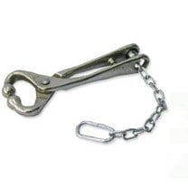 Bull lead