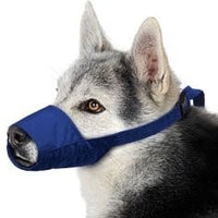 Quick Muzzle for dogs