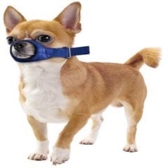 Quick Muzzle for dogs