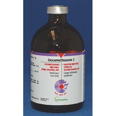 Dexamethasone injection