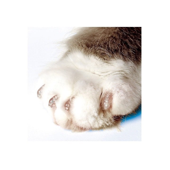 Softpaws nail cap kit for cat