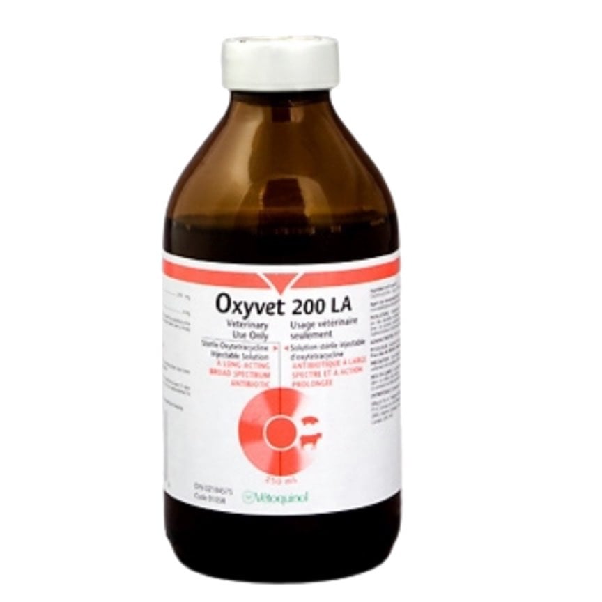 Oxyvet