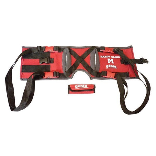 Harness Handy Canis for rear legs