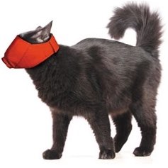 Quick Muzzle for cats
