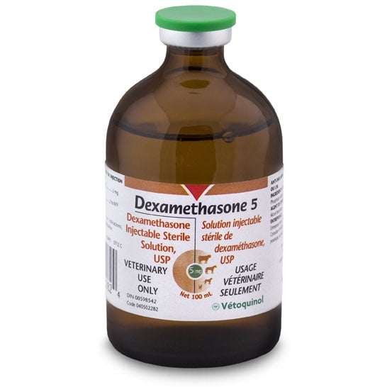 Dexamethasone injection