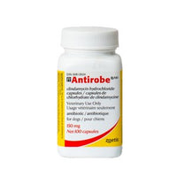 Antirobe