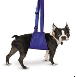 Quick-Lift