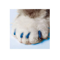 Softpaws nail cap kit for cat