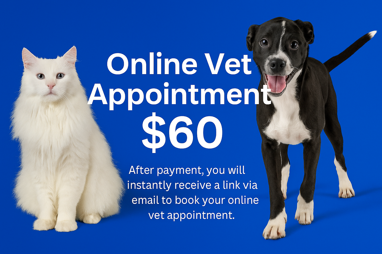 Affordable Online Vet appointment