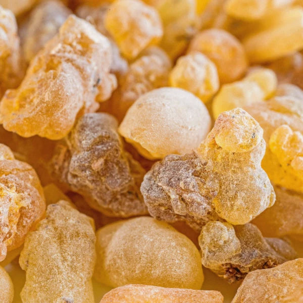 Boswellia Serrata Extract