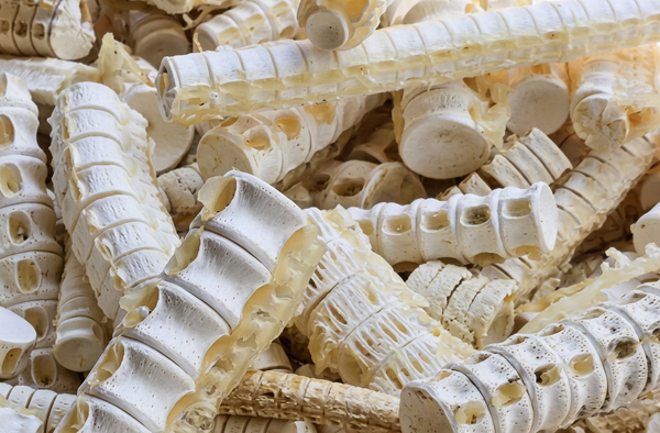 Marine Cartilage