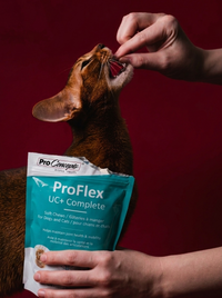 Proflex UC+ Complete soft chews for cats and dogs