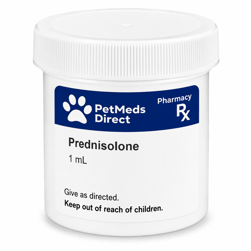 Prednisolone 100 mg/mL Compounded Transdermal Gel - 1 mL