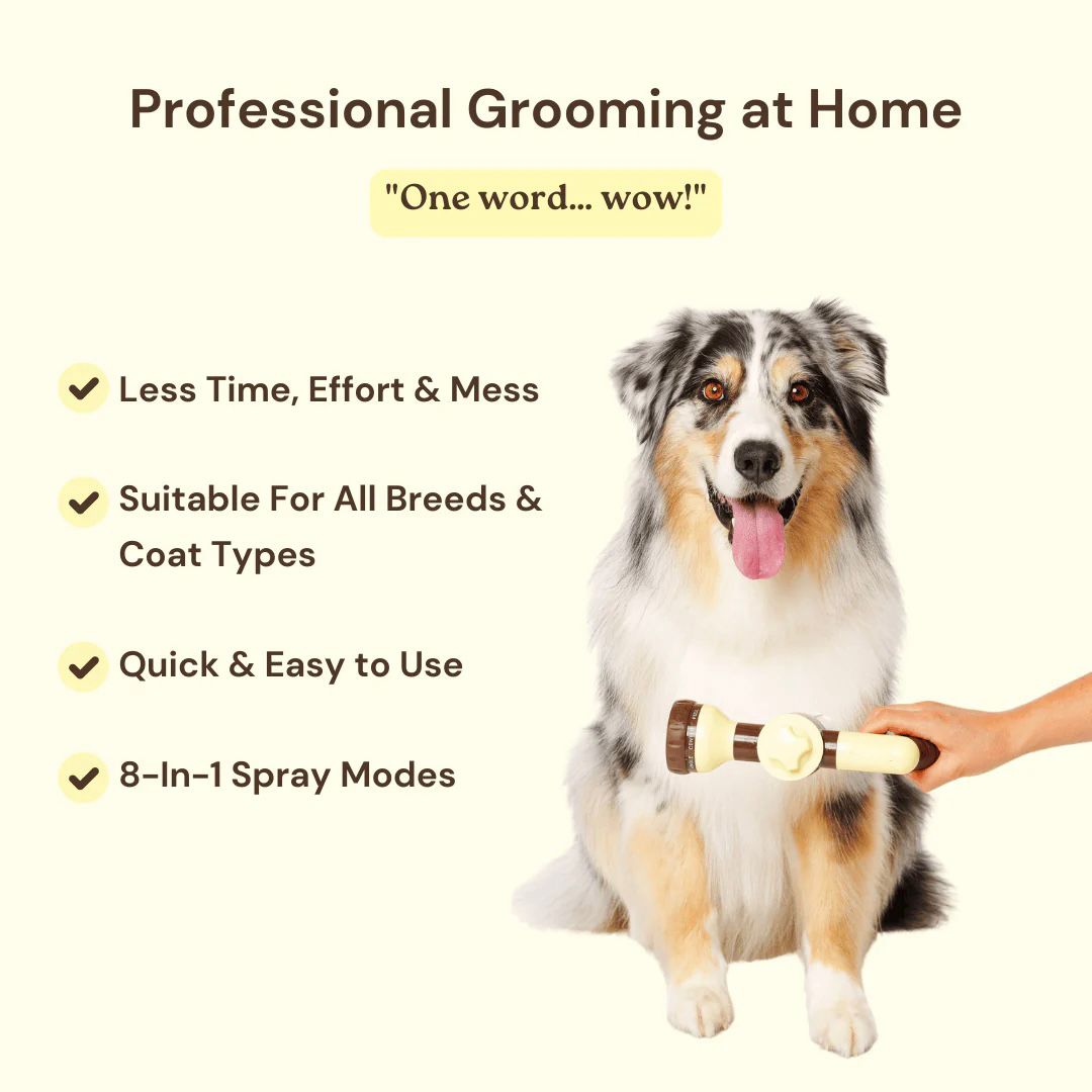 The Groomie