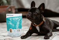 Proflex UC+ Complete soft chews for cats and dogs